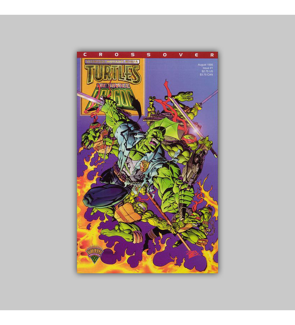 Teenage Mutant Ninja Turtles/The Savage Dragon Crossover 1 1995