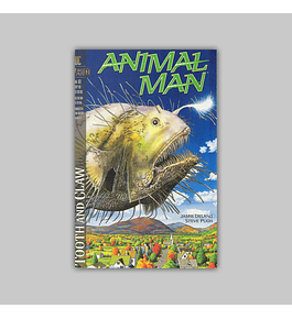 Animal Man 63 1993