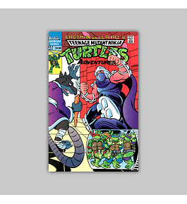 Teenage Mutant Ninja Turtles Adventures 4 1989