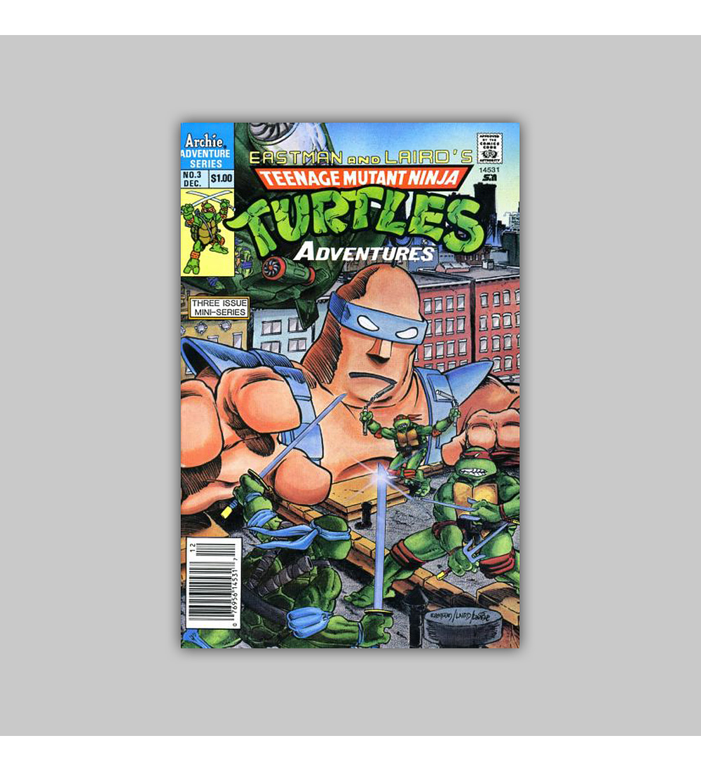 Teenage Mutant Ninja Turtles Adventures 3 1988