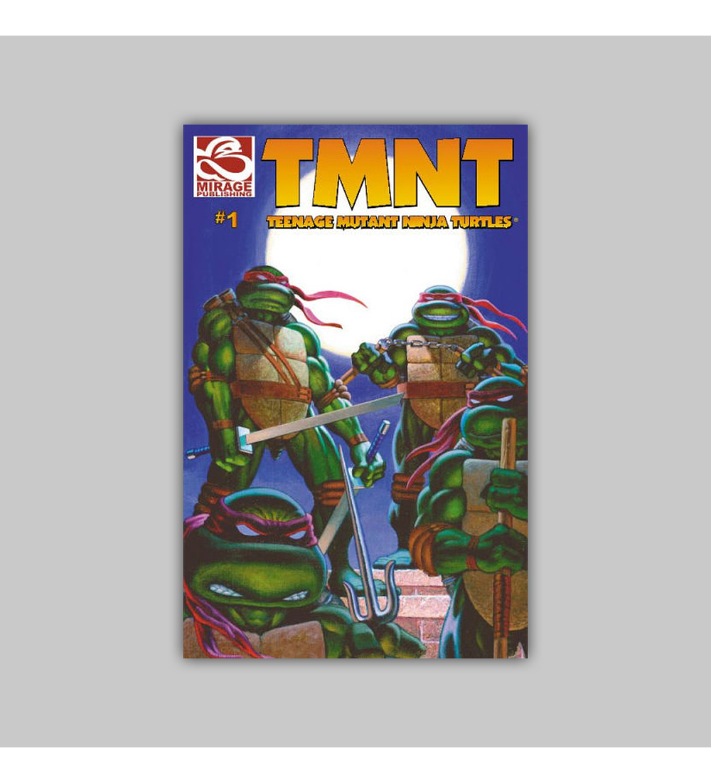 TMNT: Teenage Mutant Ninja Turtles 1 2001