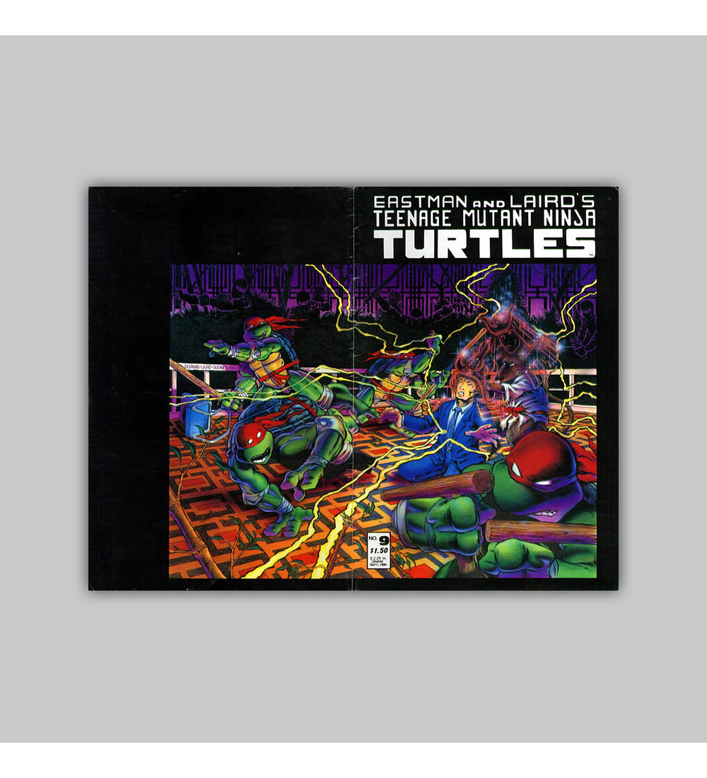 Teenage Mutant Ninja Turtles 9 1986