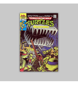 Teenage Mutant Ninja Turtles Adventures 2 1989
