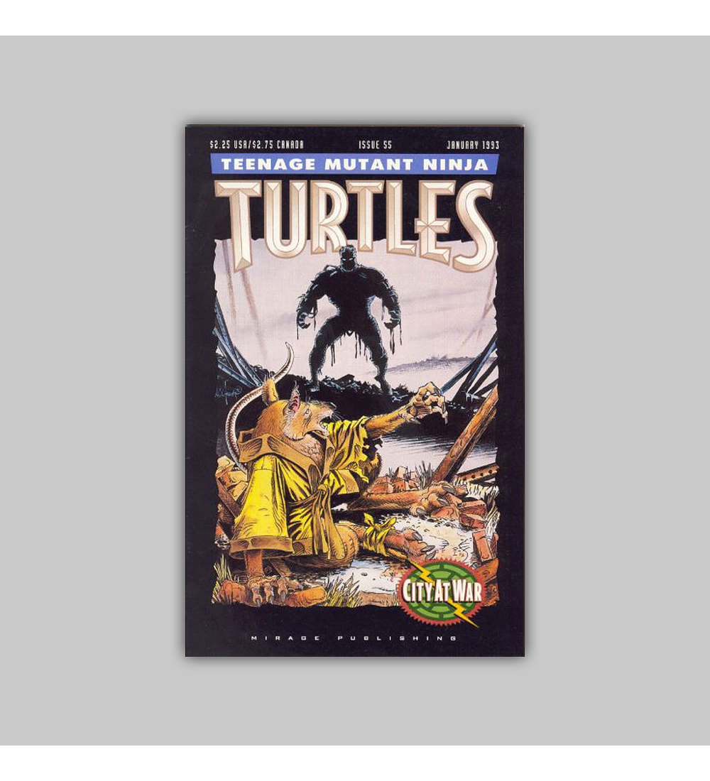 Teenage Mutant Ninja Turtles 55 1993