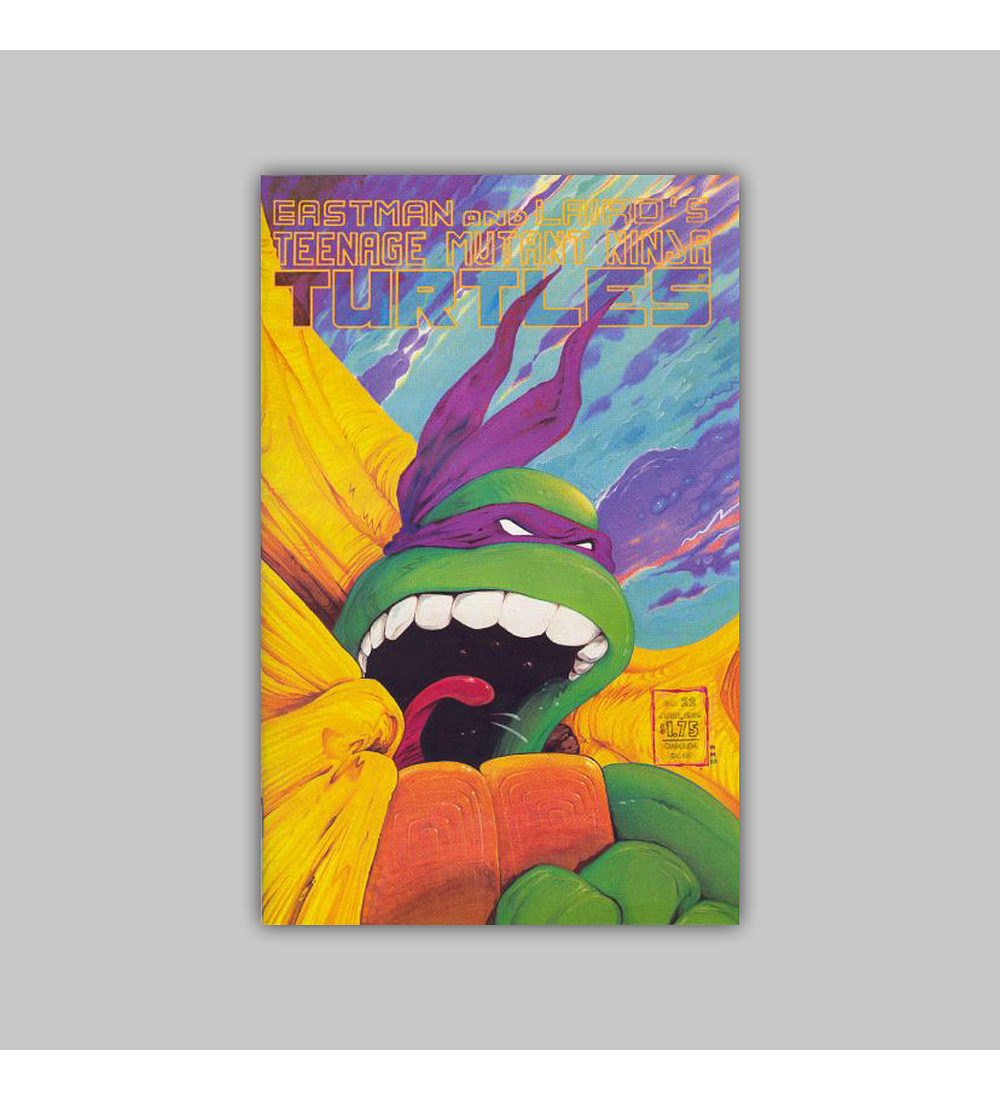 Teenage Mutant Ninja Turtles 22 1989