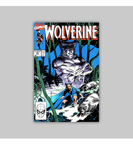 Wolverine 25 1990