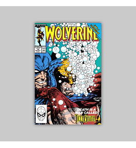 Wolverine 19 1989