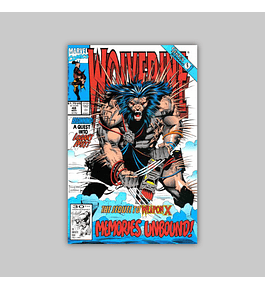 Wolverine 48 1991