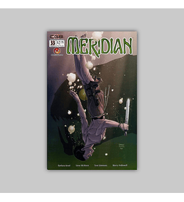 Meridian 33 2003