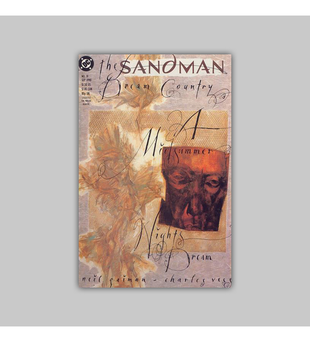 The Sandman 19