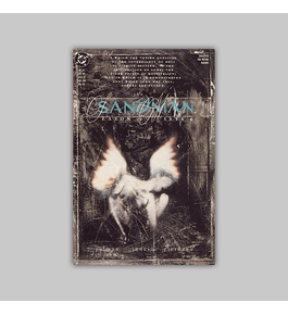 The Sandman 27 1991