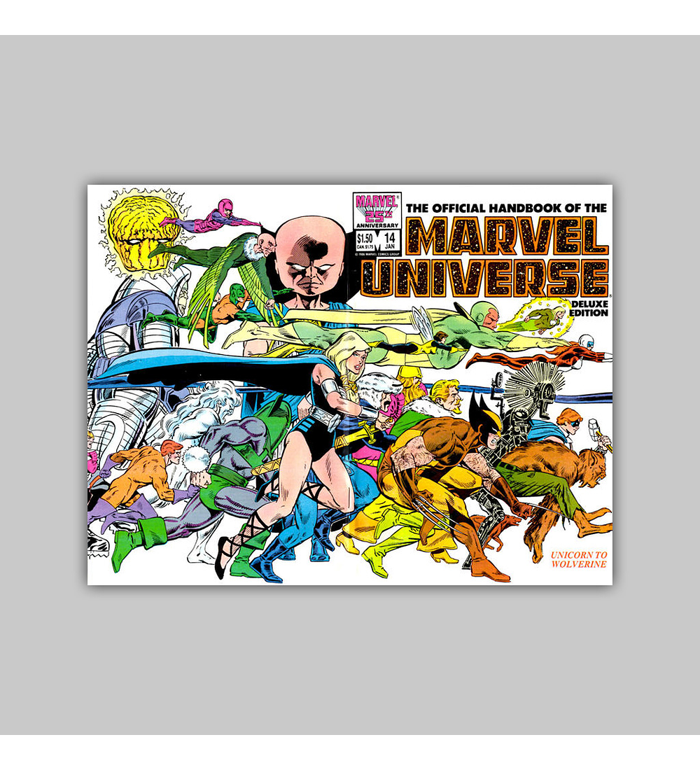 The Official Handbook of the Marvel Universe Deluxe Edition 14 1987