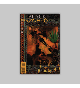 Black Orchid 11 1994