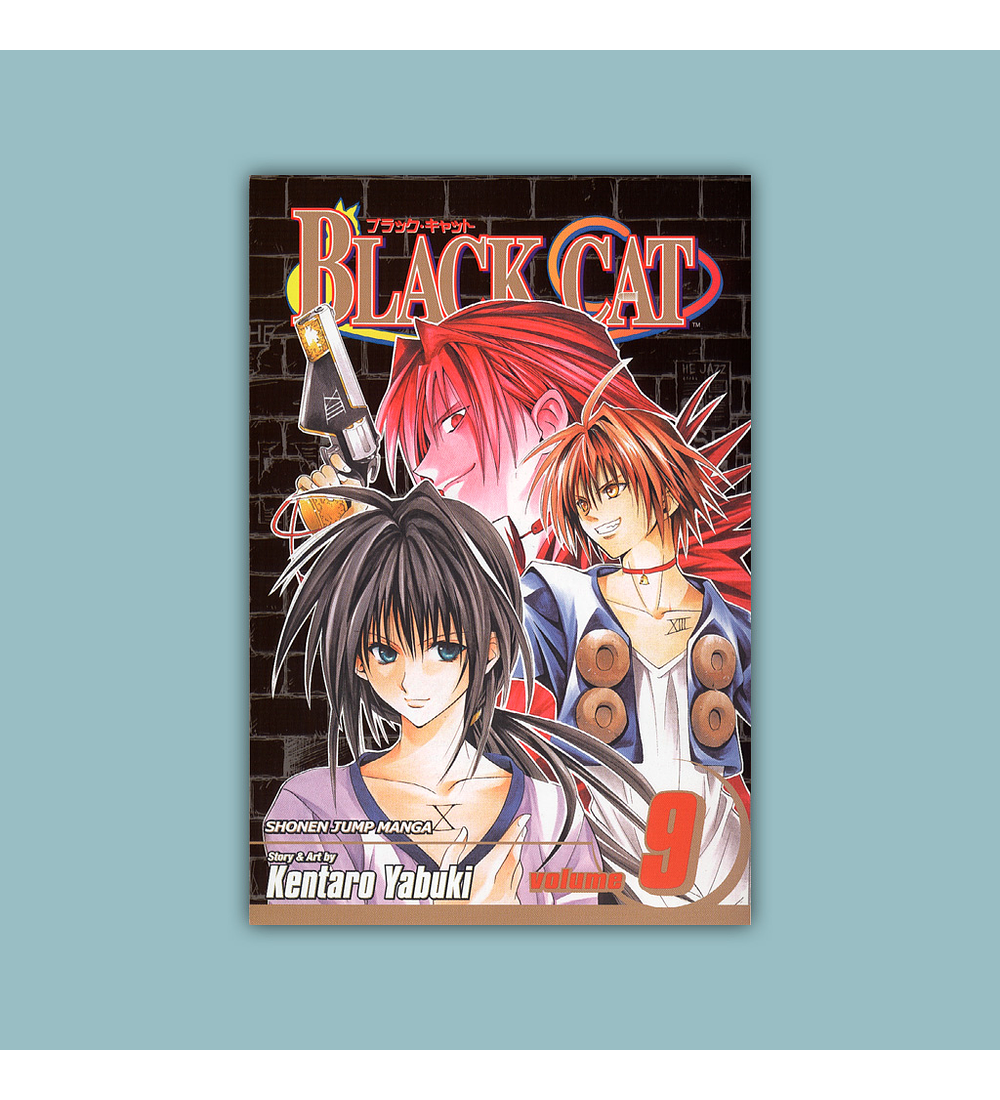 Black Cat Vol. 09 2007