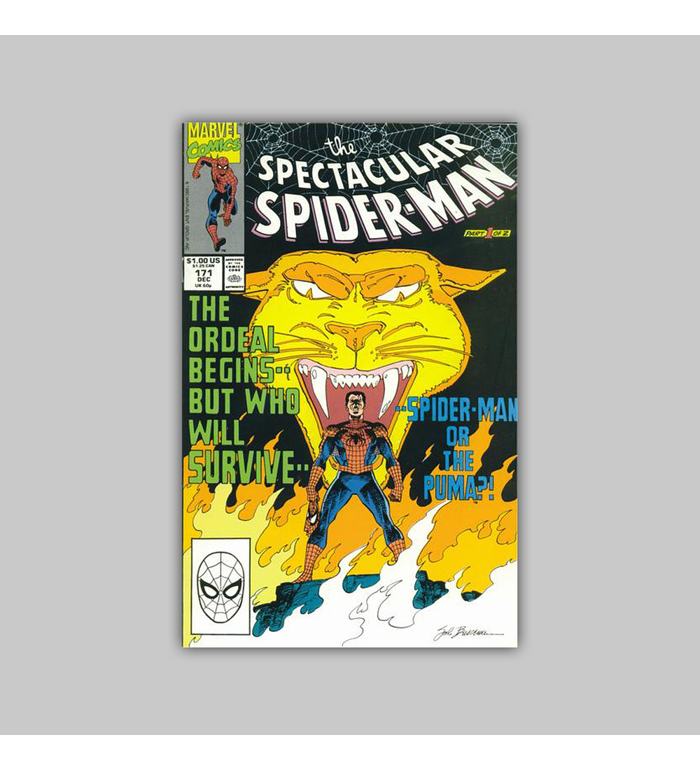 Spectacular Spider-Man 171 1990