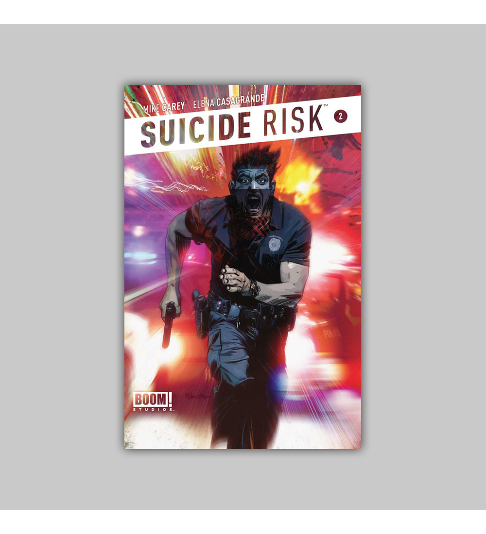 Suicide Risk 2 2013