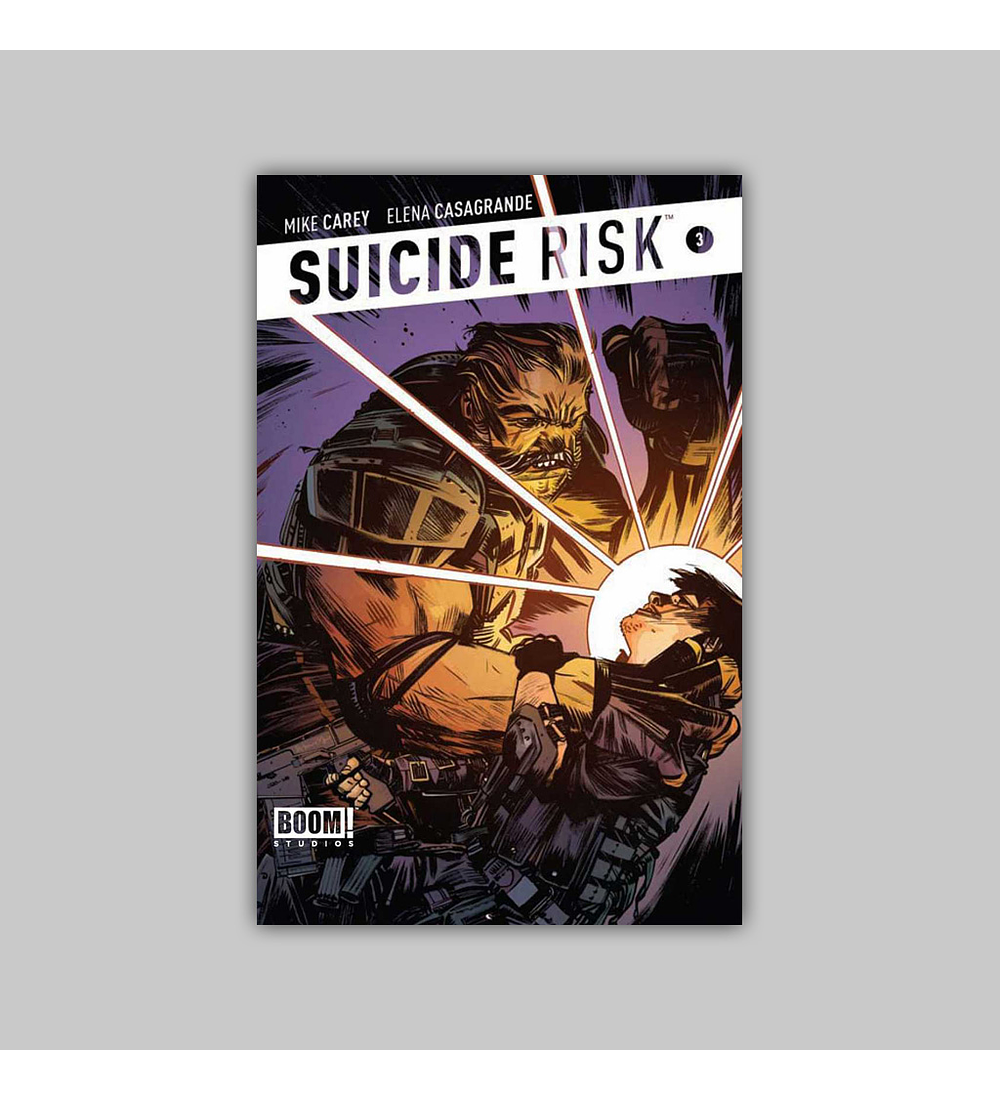 Suicide Risk 3 2013