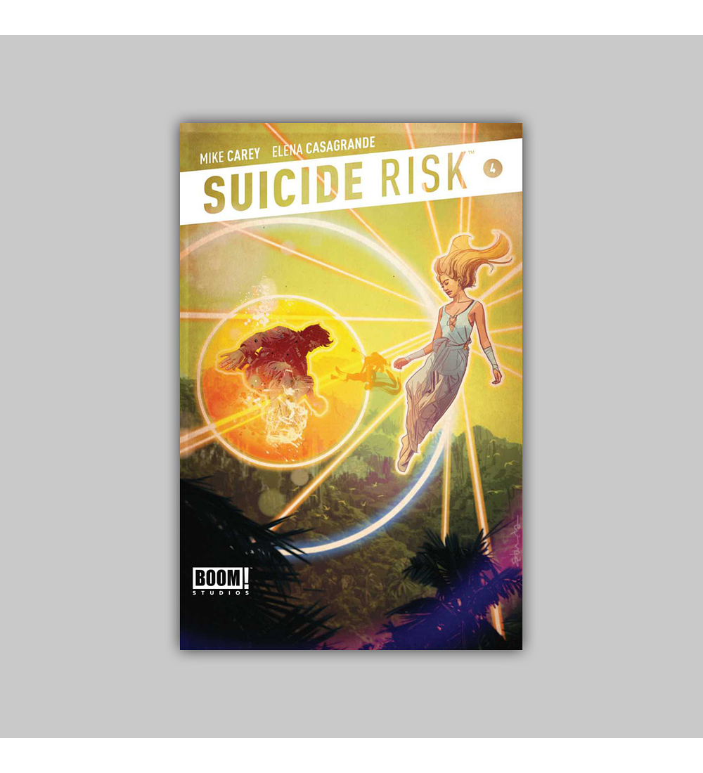 Suicide Risk 4 2013