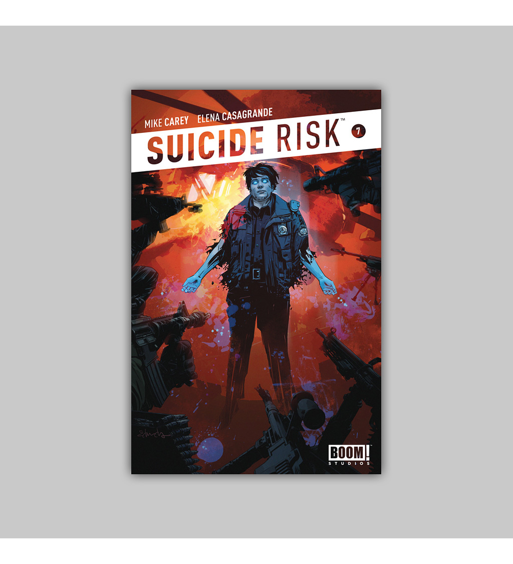 Suicide Risk 7 2013