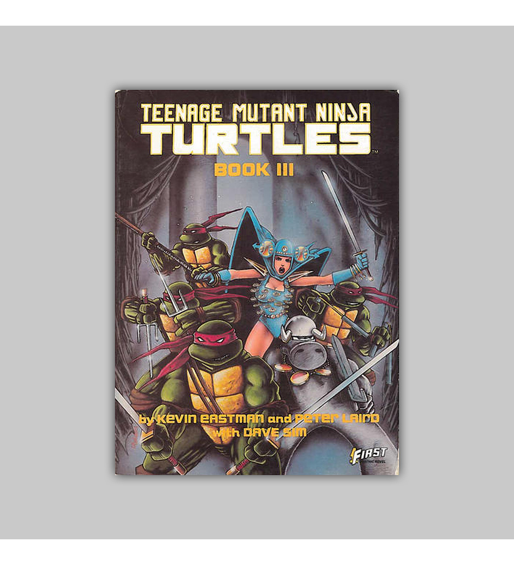 Teenage Mutant Ninja Turtles Vol. 03 1987