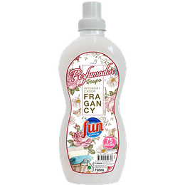 Fun Perfumador Roupa Fragancy 750Ml - Lavandaria Manual