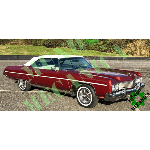 Manual Taller Chevrolet Caprice 1973-1974