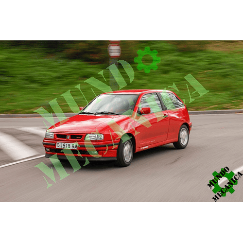 Manual de Motor Seat Ibiza 1993-1999