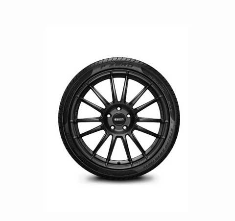Neumatico Pirelli 315/30Zr22 (107Y)Xl P-Zero