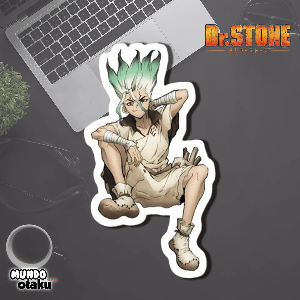 Set 15 Stickers  - Dr Stone 12