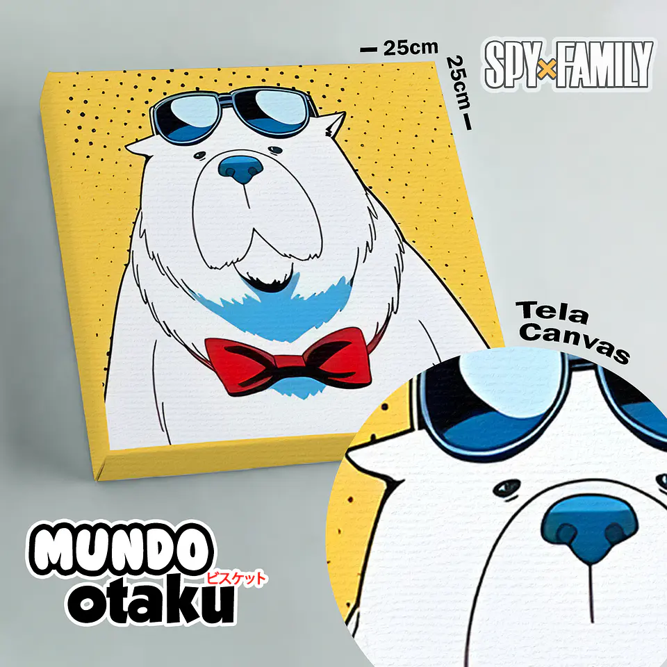 Cuadro Canvas - Spy x Family 5