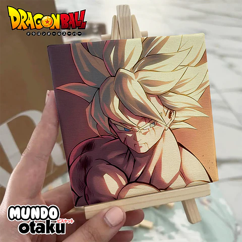 Mini Cuadro Canvas - Dragon Ball