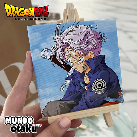 Mini Cuadro Canvas - Dragon Ball