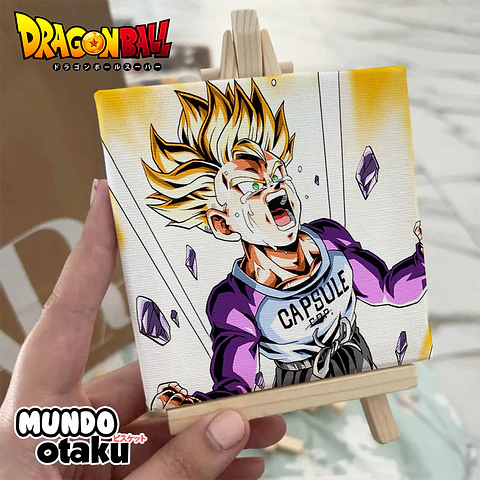 Mini Cuadro Canvas - Dragon Ball
