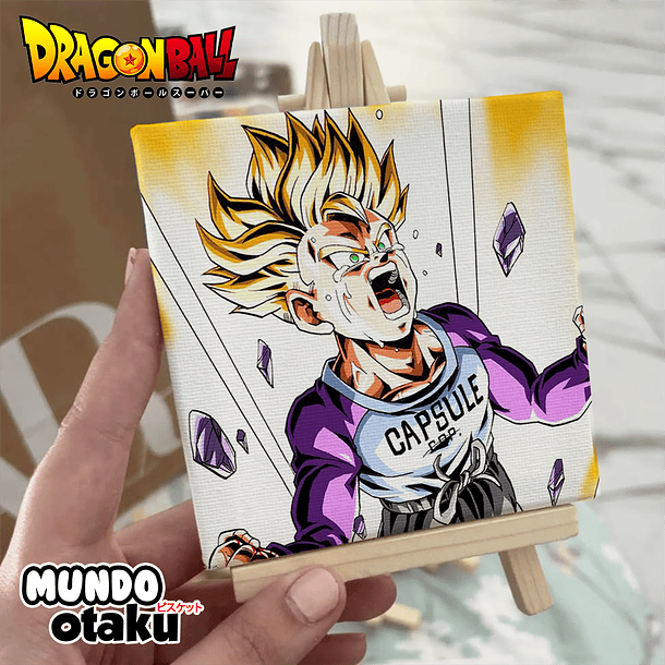 Mini Cuadro Canvas - Dragon Ball