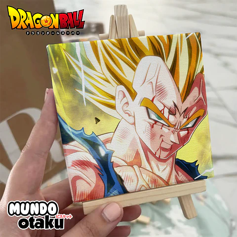 Mini Cuadro Canvas - Dragon Ball