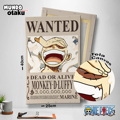 Cuadro Canvas 40x25 - One Piece