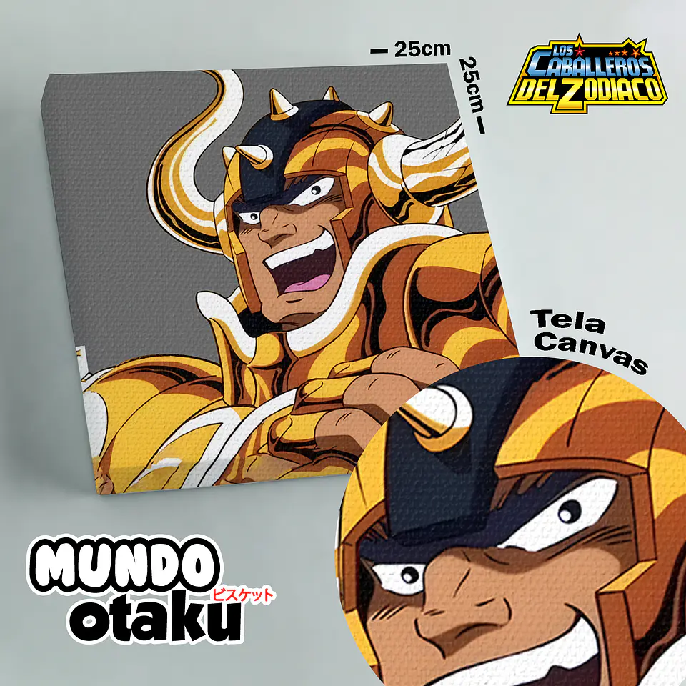 Cuadro Canvas - Los Caballeros del Zodiaco 2