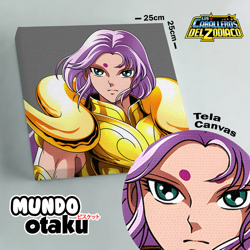 Cuadro Canvas - Los Caballeros del Zodiaco 3