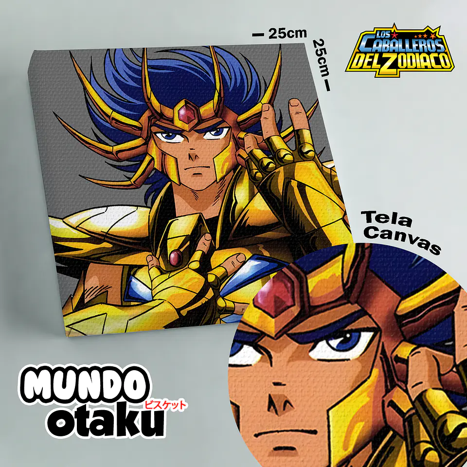Cuadro Canvas - Los Caballeros del Zodiaco 5