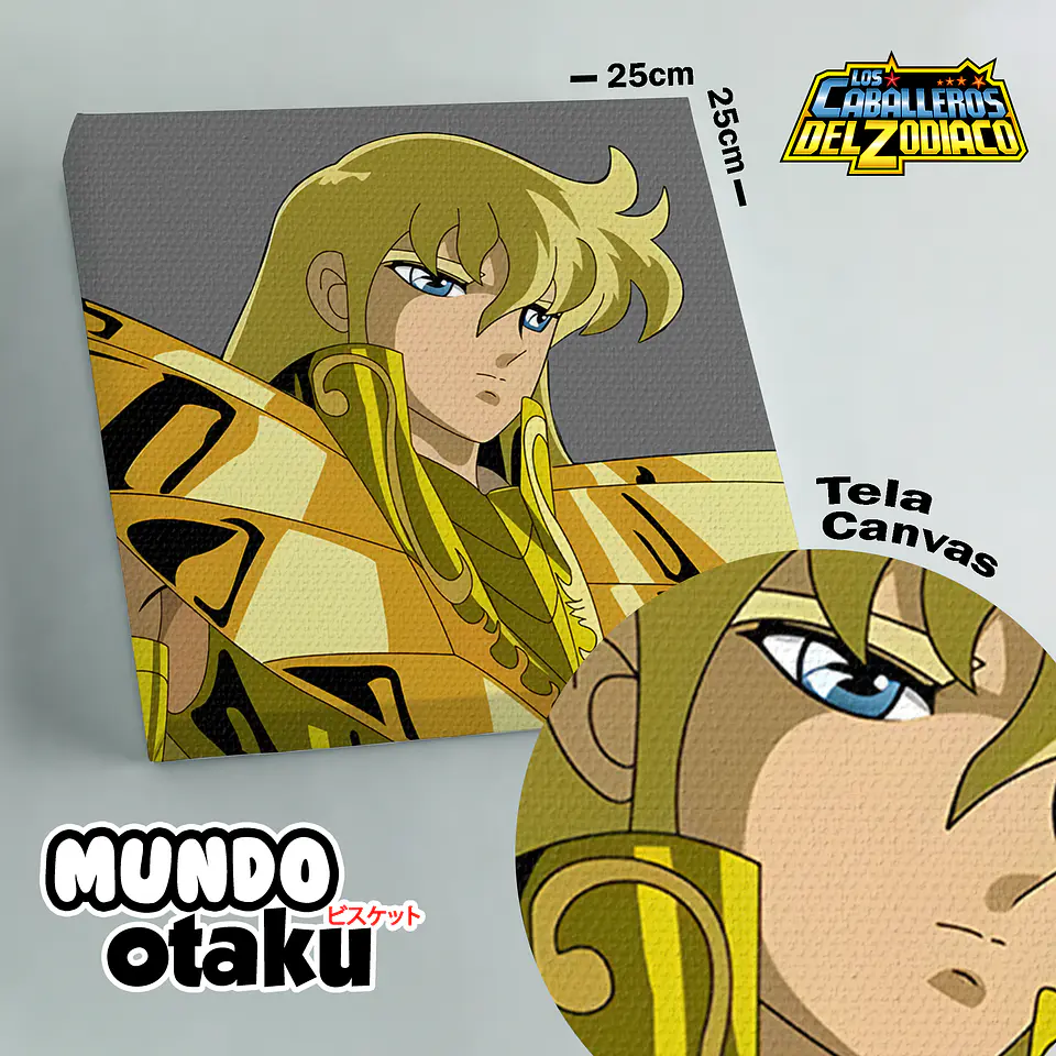 Cuadro Canvas - Los Caballeros del Zodiaco 7