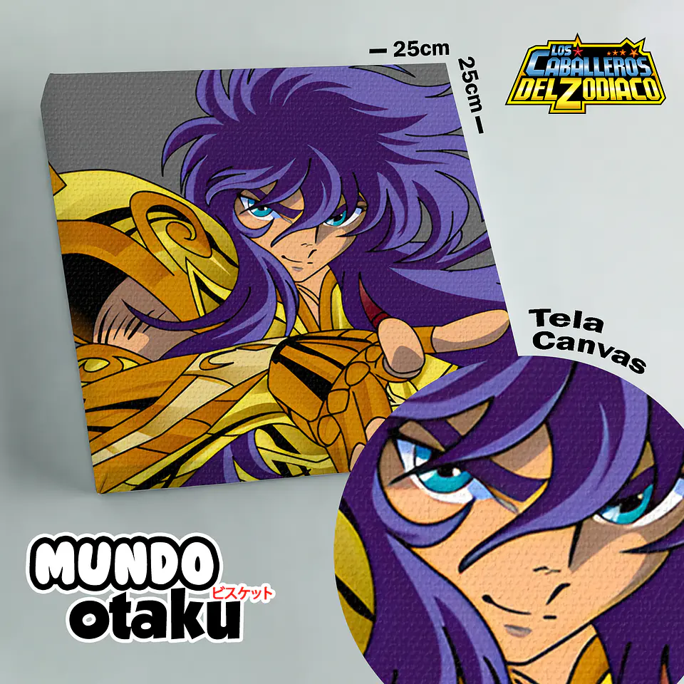 Cuadro Canvas - Los Caballeros del Zodiaco 9