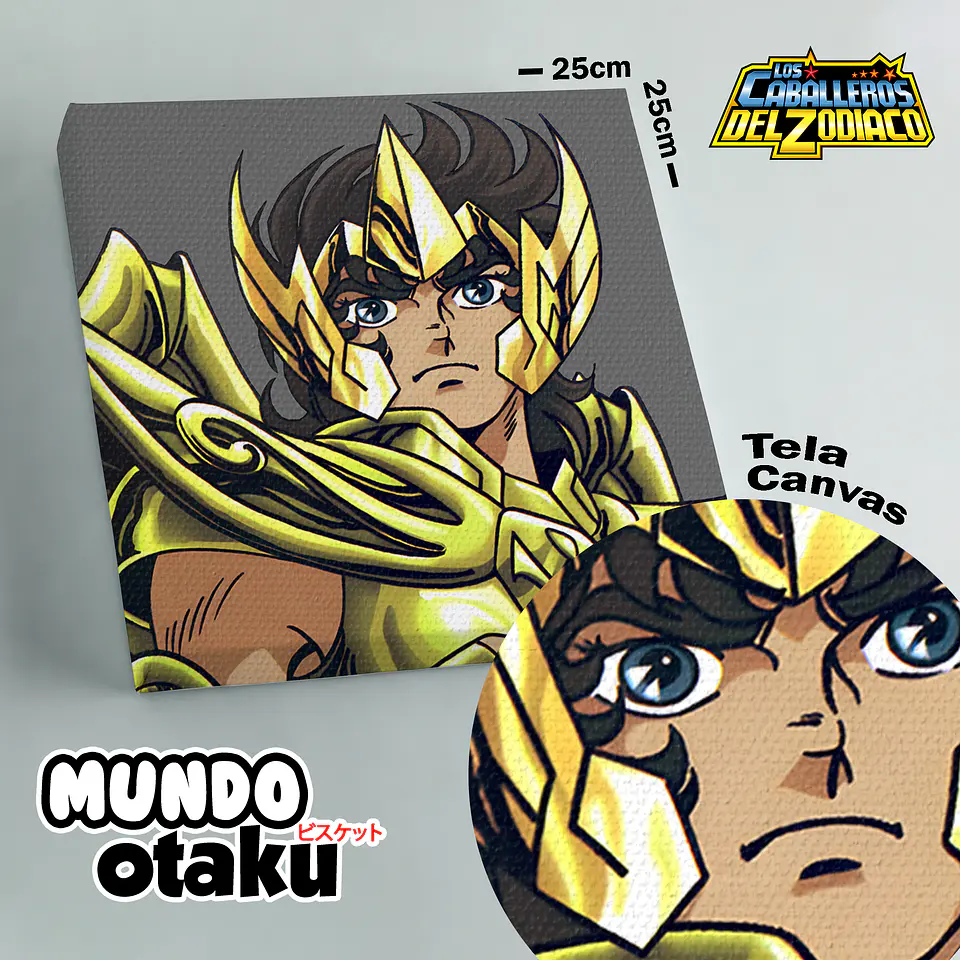Cuadro Canvas - Los Caballeros del Zodiaco 10