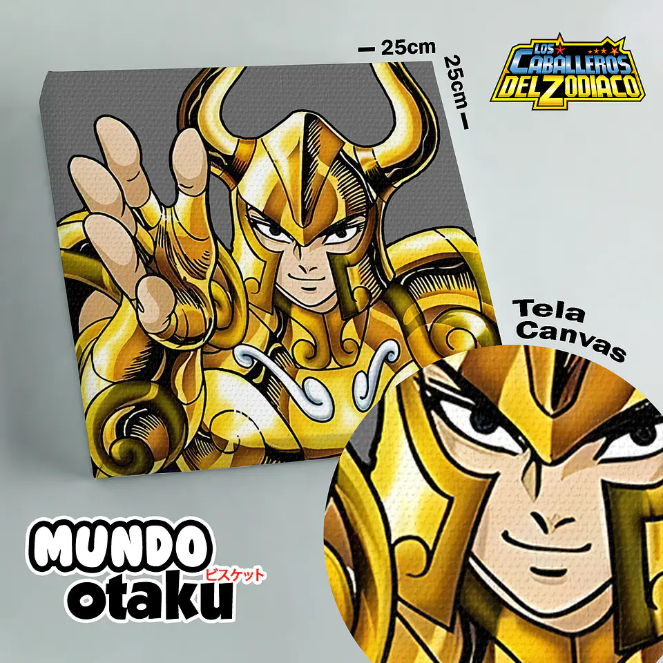 Cuadro Canvas - Los Caballeros del Zodiaco 11