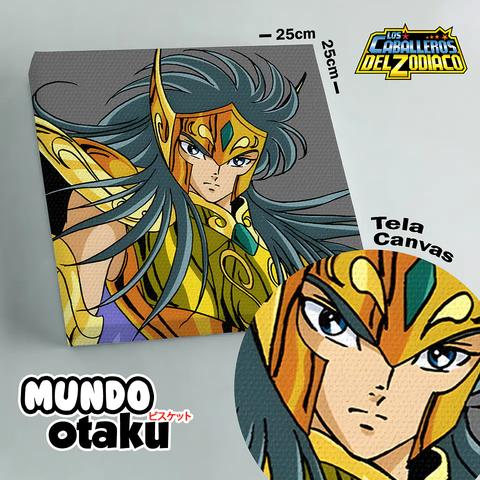 Cuadro Canvas - Los Caballeros del Zodiaco 12