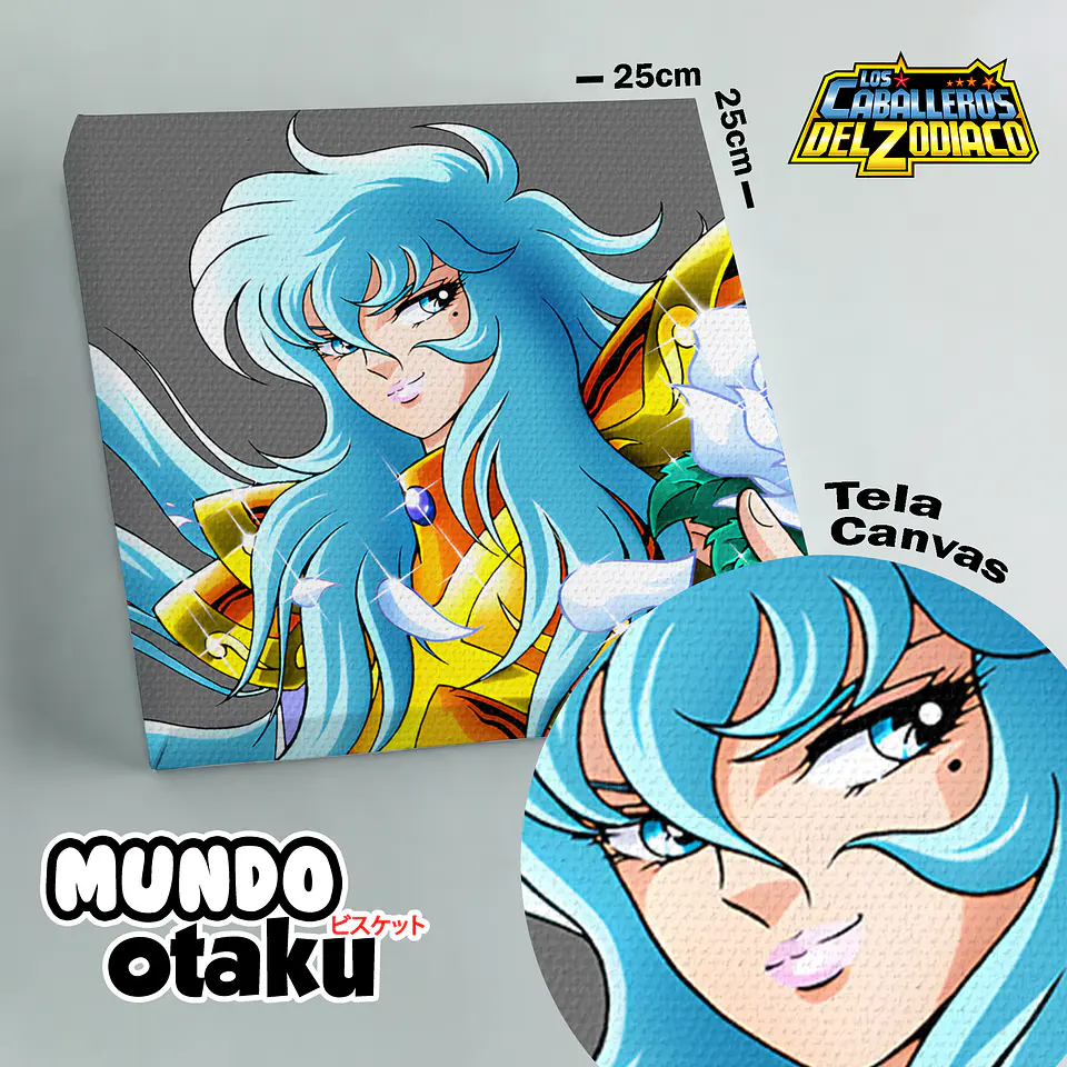 Cuadro Canvas - Los Caballeros del Zodiaco 13