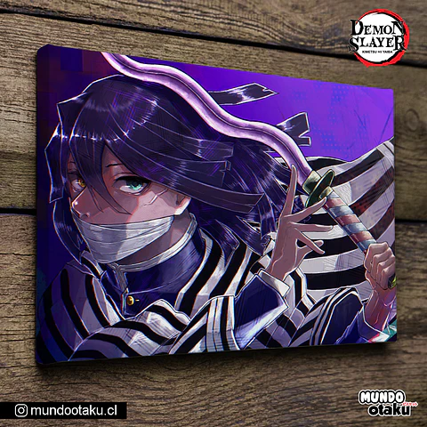 Cuadro Bastidor - Kimetsu no Yaiba