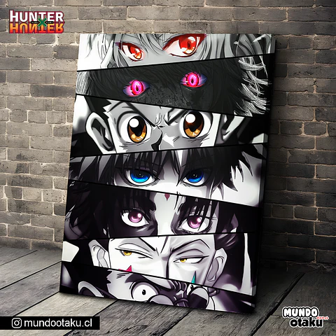 Cuadro Bastidor - Hunter x Hunter
