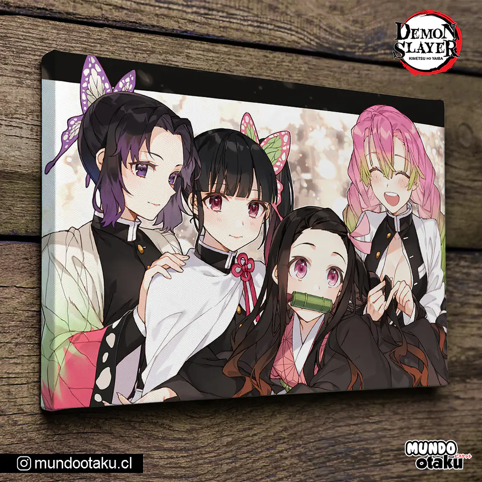 Cuadro Bastidor - Kimetsu no Yaiba 1