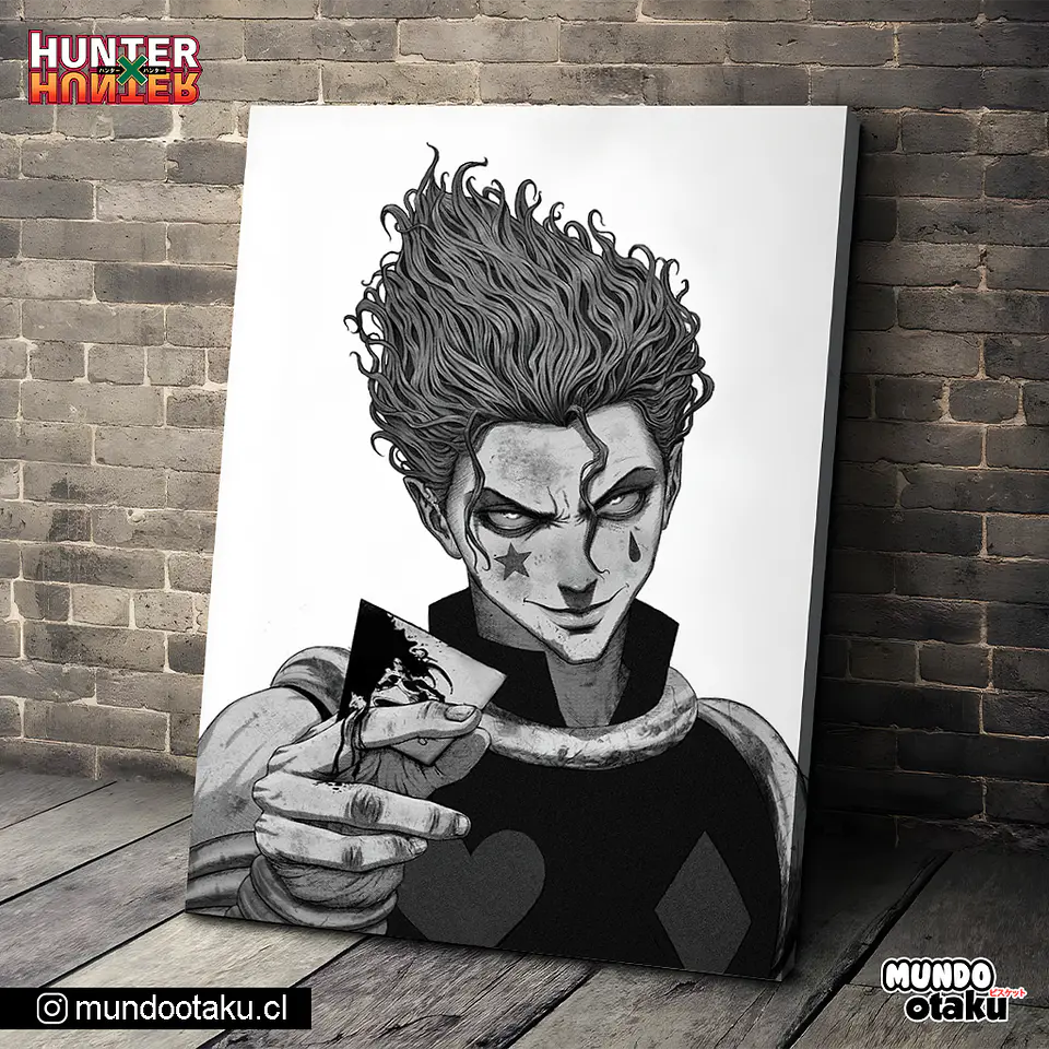 Cuadro Bastidor - Hunter x Hunter 1
