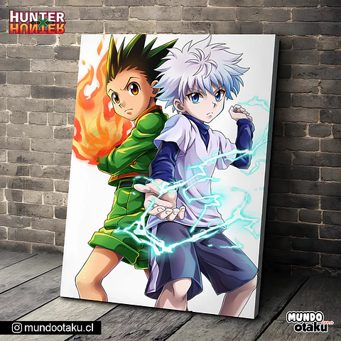 Cuadro Bastidor - Hunter x Hunter